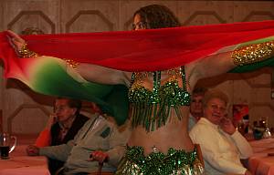 Haidhof-Schleier 01  300b